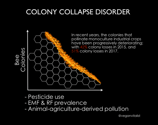 Screen Shot 2018-11-07 at 3.55.31 PM