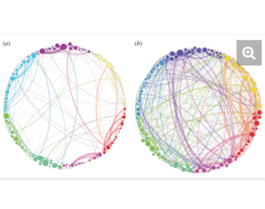 Screen Shot 2018-11-07 at 3.55.31 PM.png