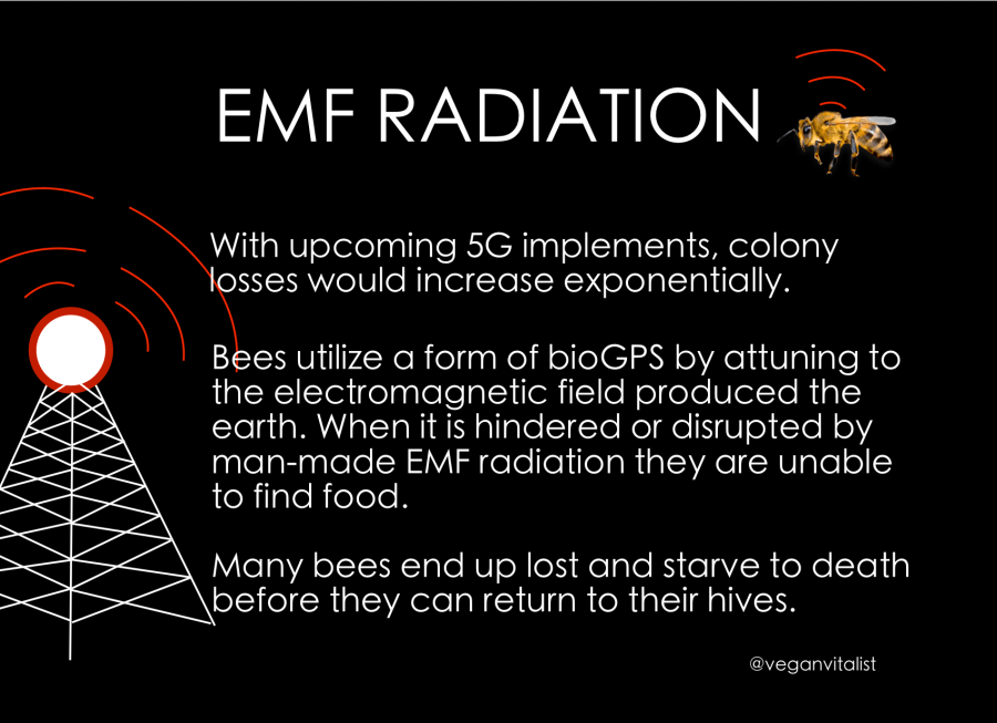 Screen Shot 2018-11-07 at 3.55.41 PM.png