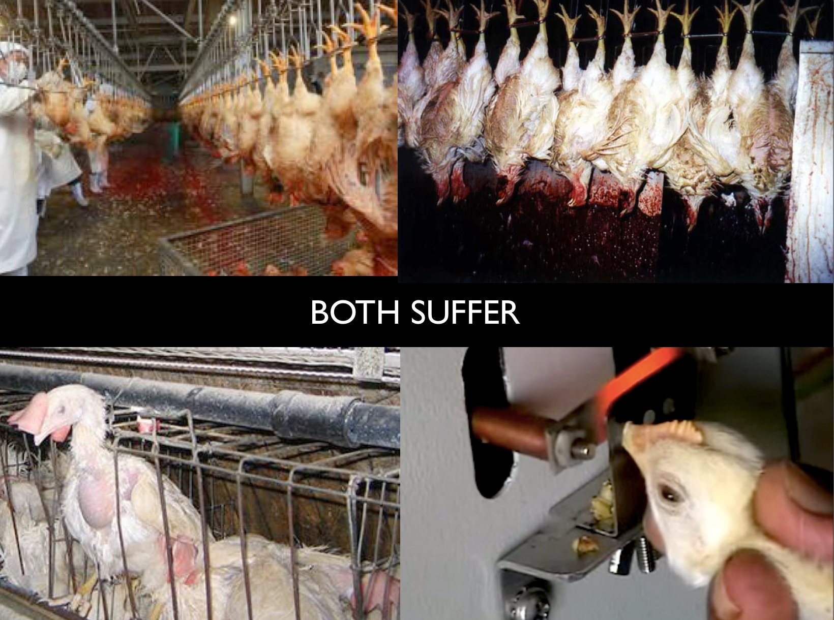 Screen Shot 2018-11-08 at 10.04.13 PM.png