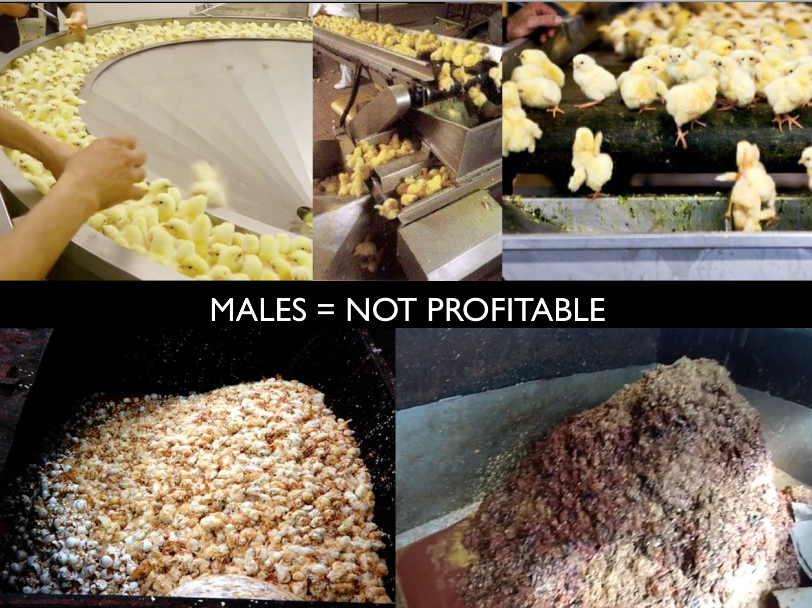 Screen Shot 2018-11-08 at 10.04.18 PM.png