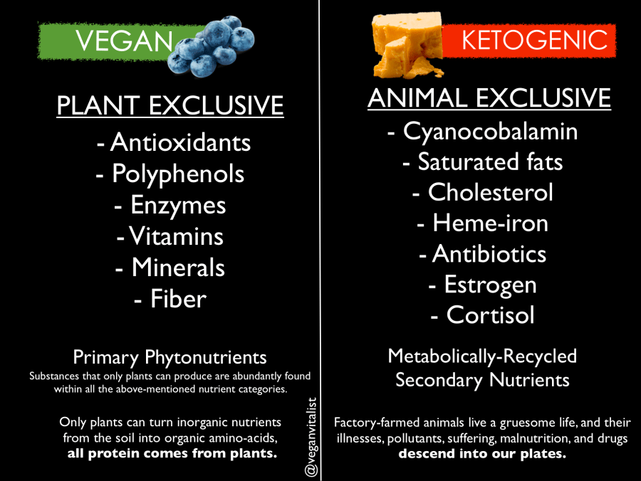 Screen Shot 2018-11-08 at 10.50.10 PM.png